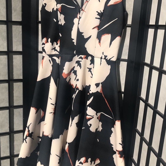 NWT Anthropologie Black & White Floral Scuba Dress - Picture 6 of 9
